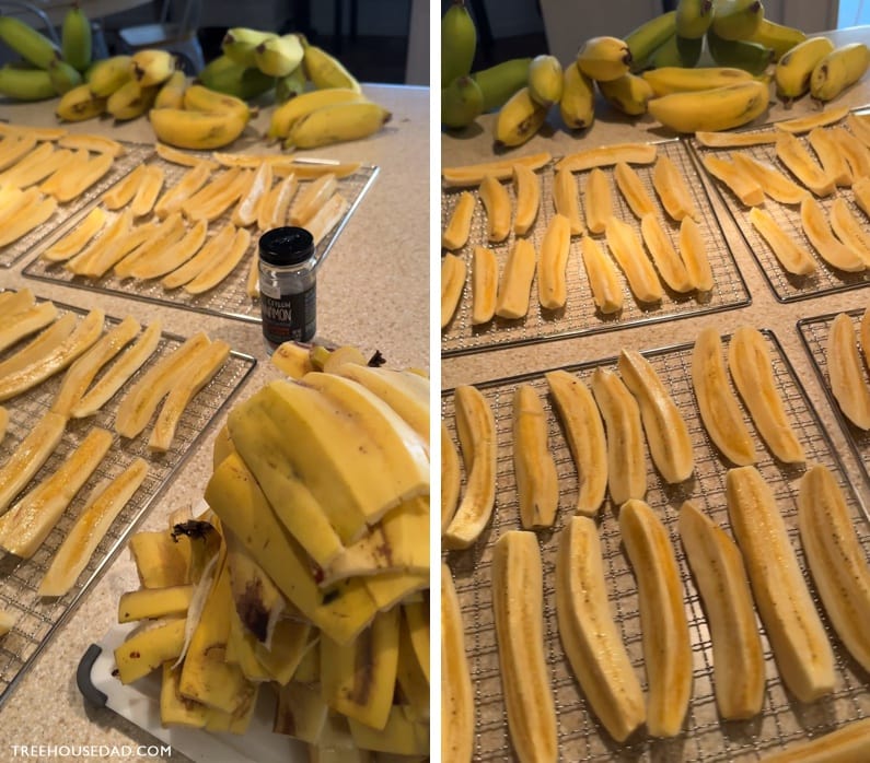 dehydrated bananas