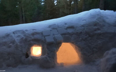 Tahoe with Kids & Igloo Build