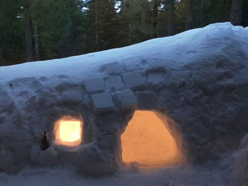 airbnb igloo