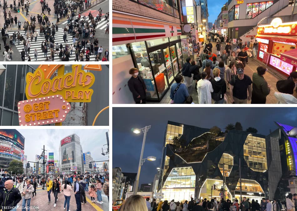Shibuya-ku