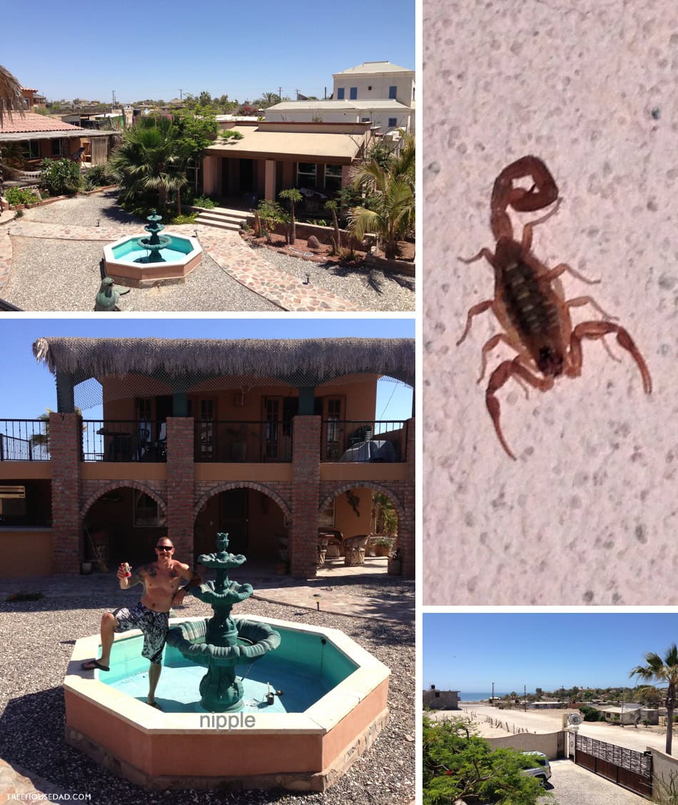 Scorpion Bay Hotel