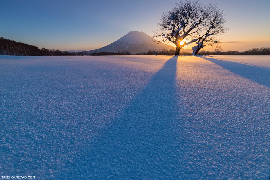 Niseko Snow Trip