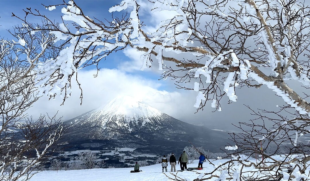 Niseko Snowboarding with Kids
