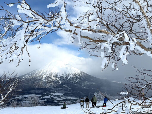 Niseko Snowboarding
