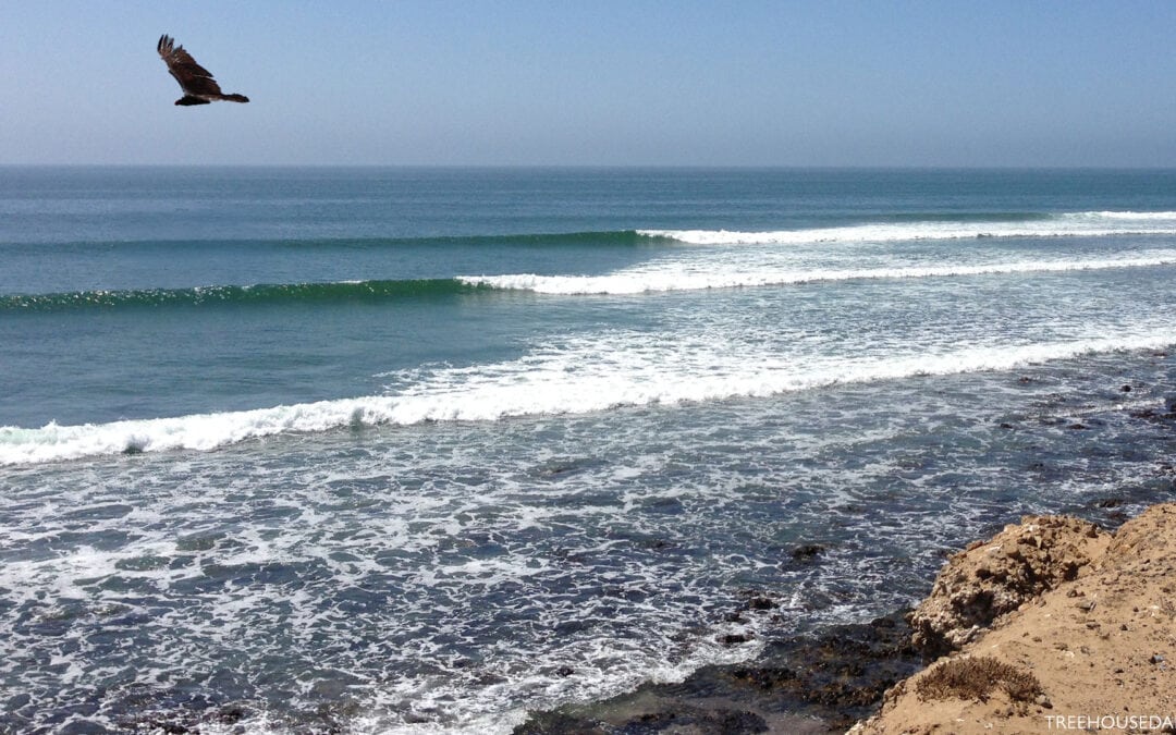 Scorpion Bay Mexico Surf Trip