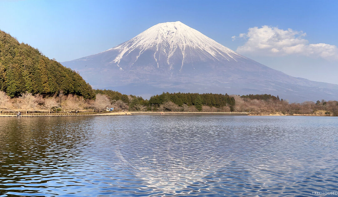 Mount Fuji Day Trip with Kids