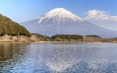 Mount Fuji Day Trip with Kids