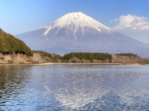 Fuji day trip