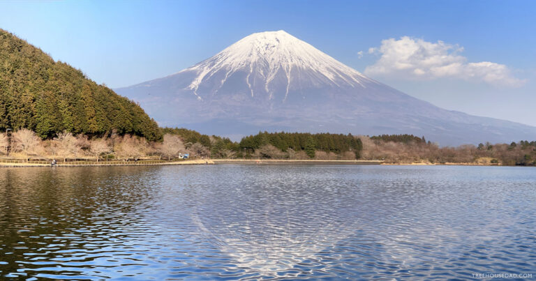 Fuji day trip