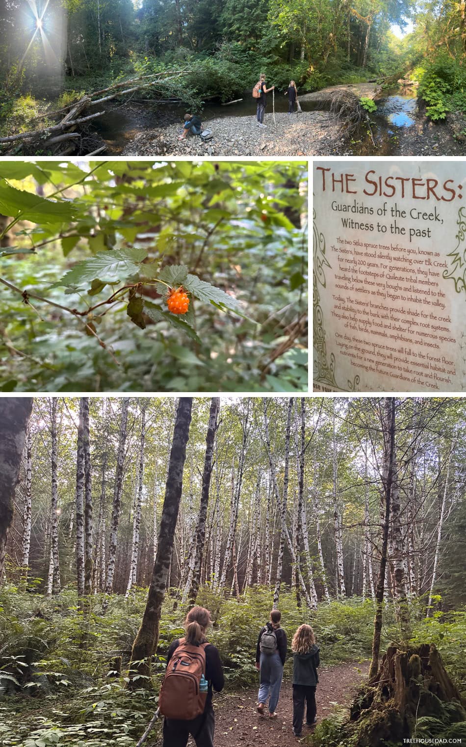 Elk Creek Hike