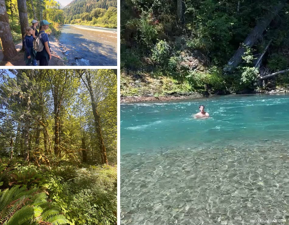 Elwha River Hike