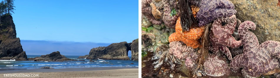 La Push Beach