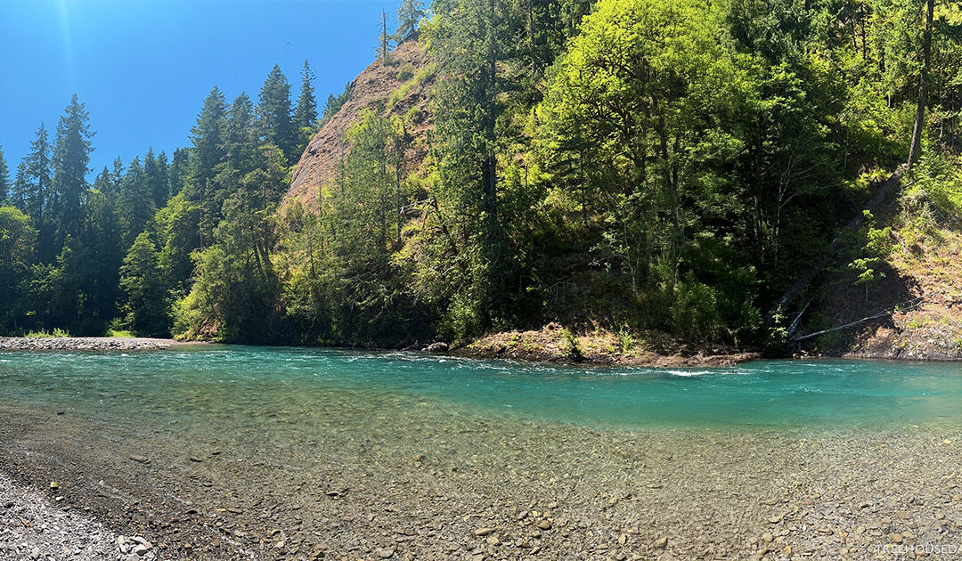 Olympic National Park with Kids