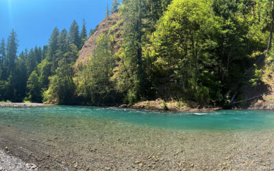 Olympic National Park with Kids