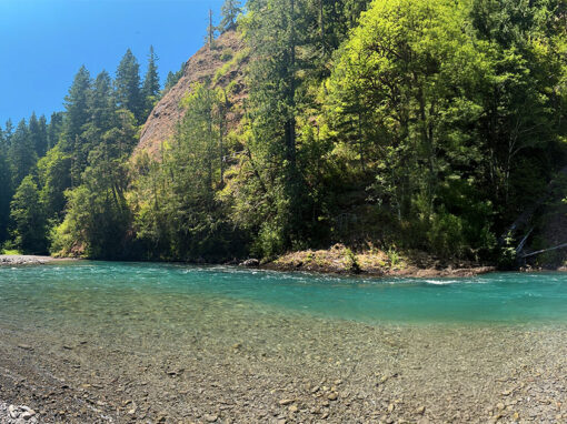 Olympic National Park