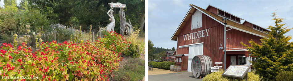 Whidbey’s Greenbank Farm