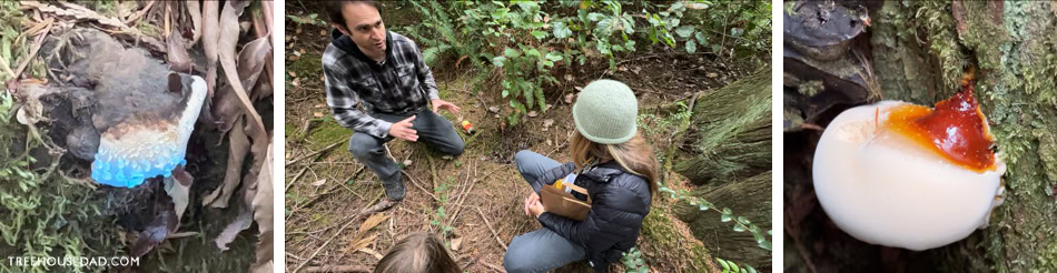 Whidbey Mushroom Tour