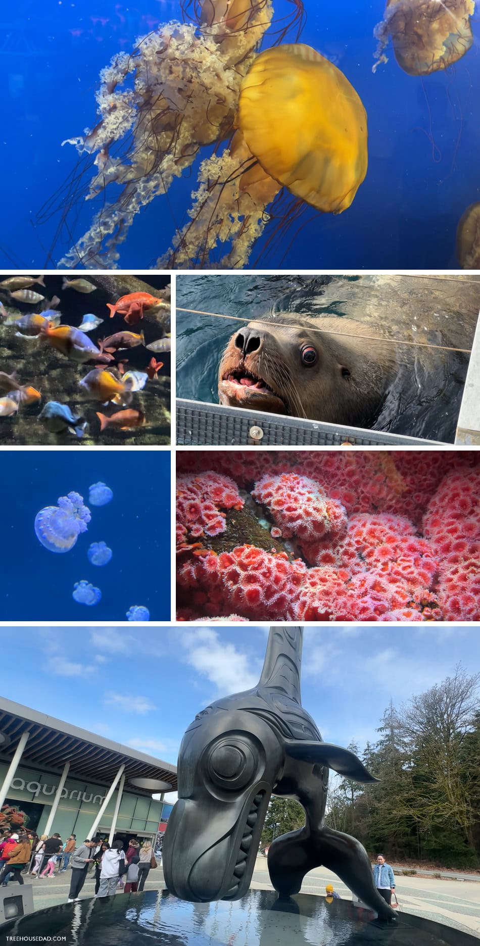 vancouver aquarium